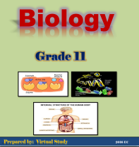 BIO G11 Final