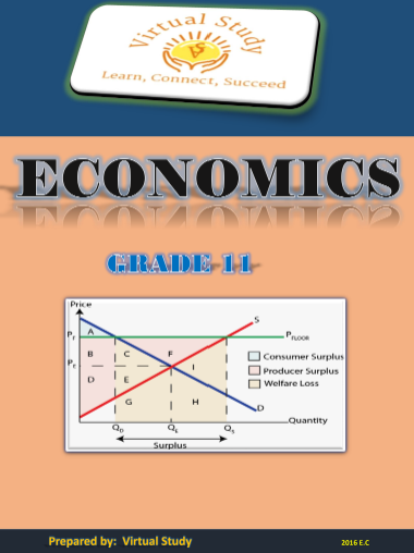 Economics Grade 11